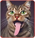 Cat got your tongue