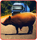 road hog