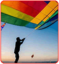 go fly a kite