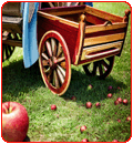 upset the apple cart