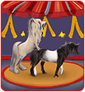 dog and pony show